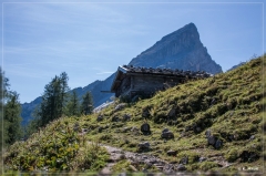 Alpen2015_229