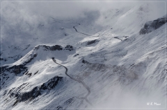 Alpen_2020_590