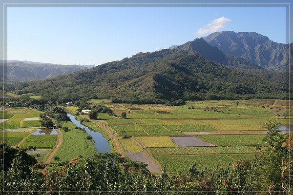hawaii08_158.jpg