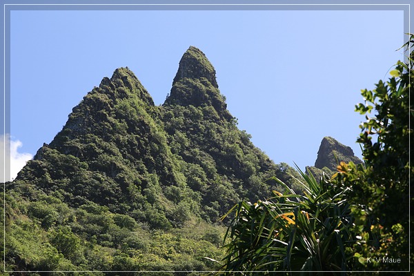 hawaii08_163.jpg