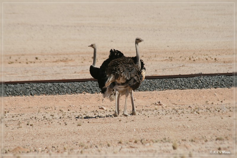 namibia_2010_045.jpg