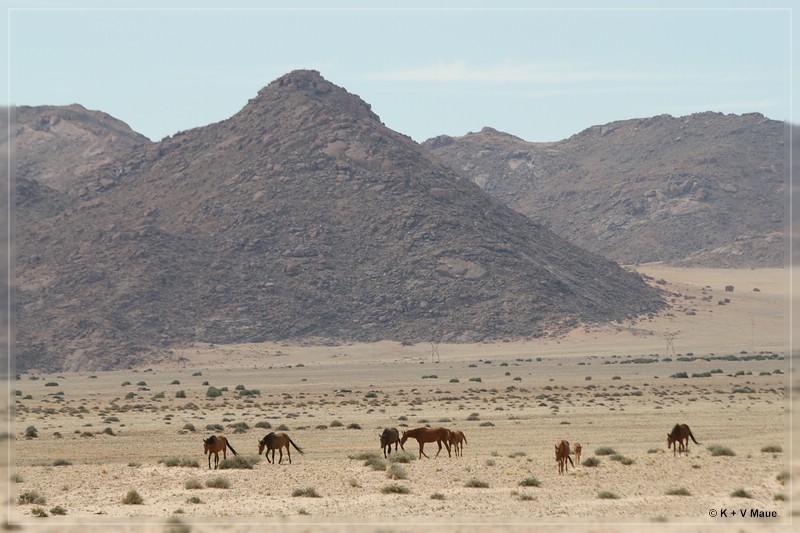 namibia_2010_077.jpg