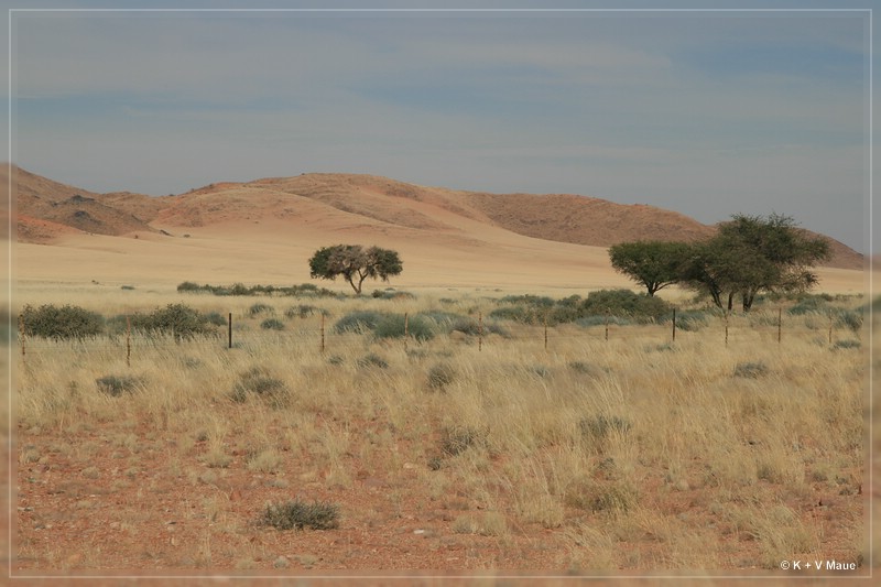 namibia_2010_088.jpg