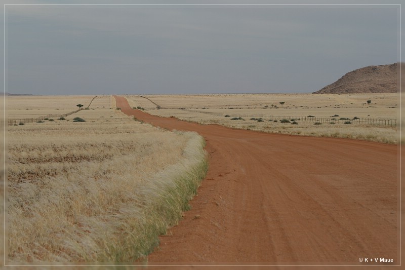 namibia_2010_089.jpg