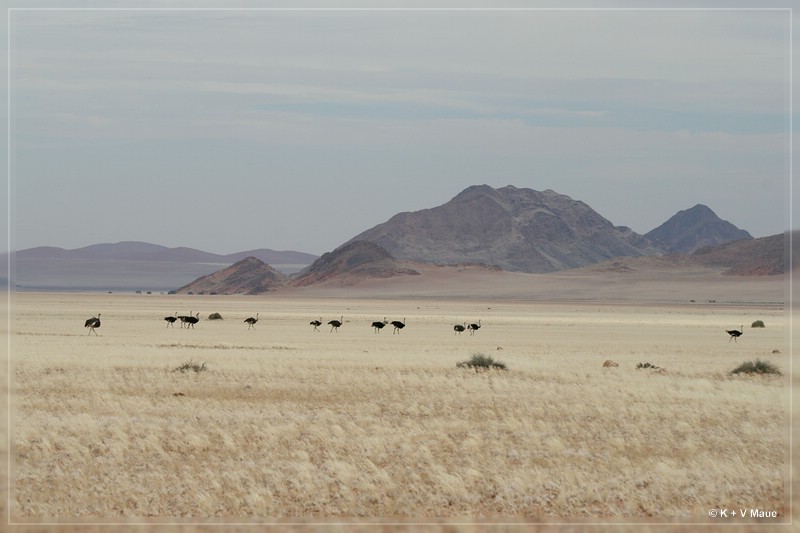 namibia_2010_091.jpg
