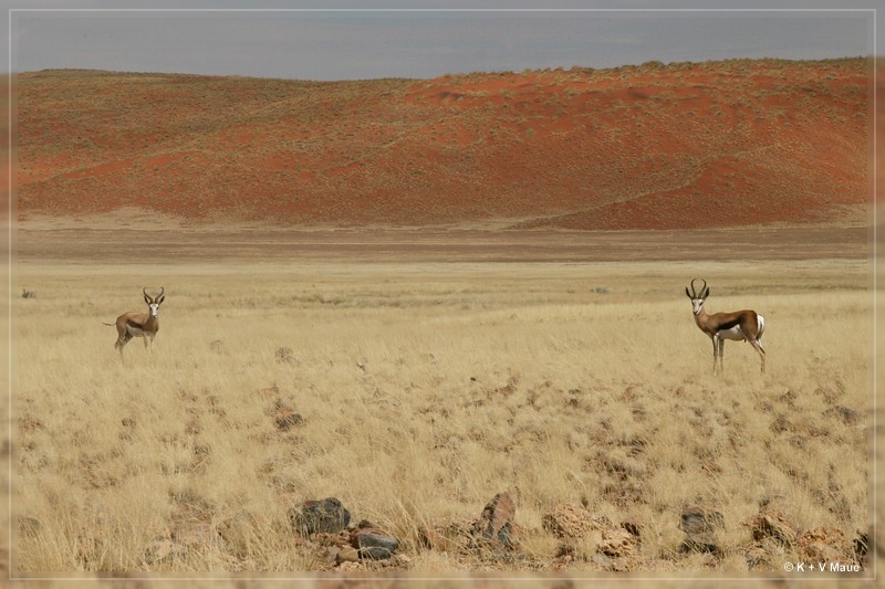 namibia_2010_107.jpg