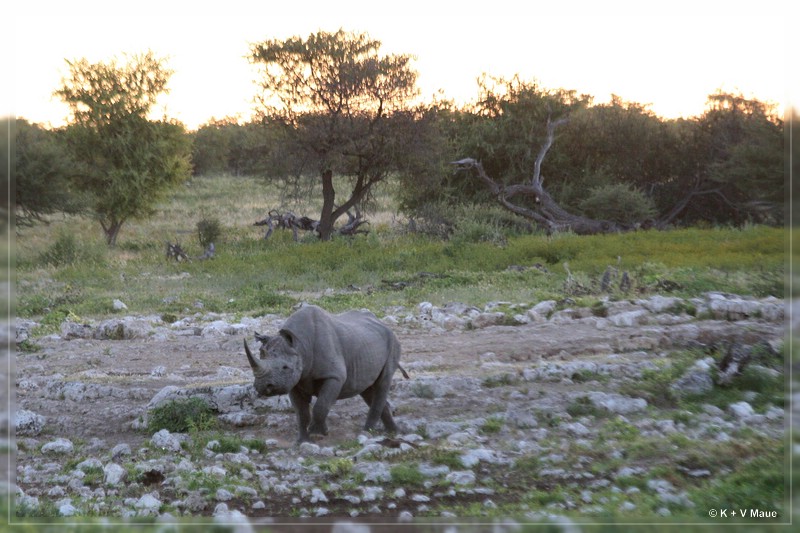namibia_2010_372.jpg