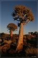 namibia_2010_033