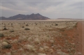 namibia_2010_090