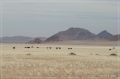 namibia_2010_091