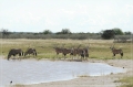 namibia_2010_518