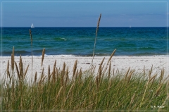 Nordostdeutschland_2018_117