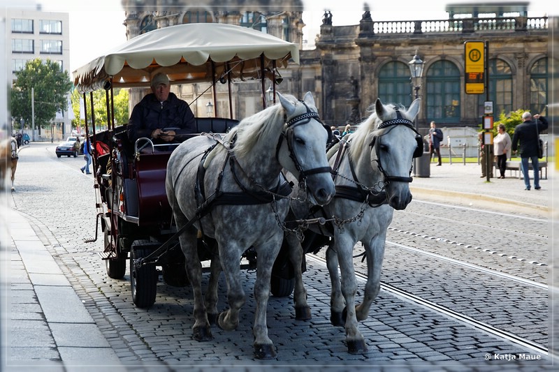 Sachsen_2013_232.jpg