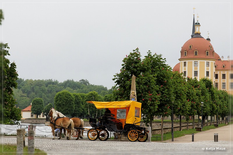 Sachsen_2013_007.jpg